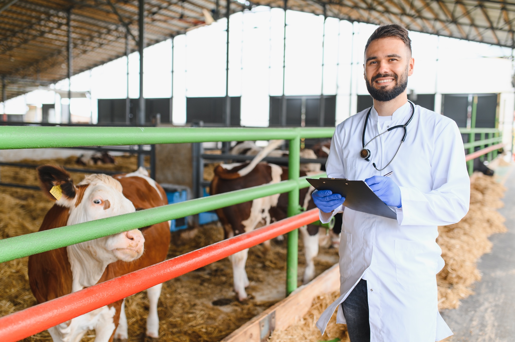 Veterinarian in lab coat with stethoscope